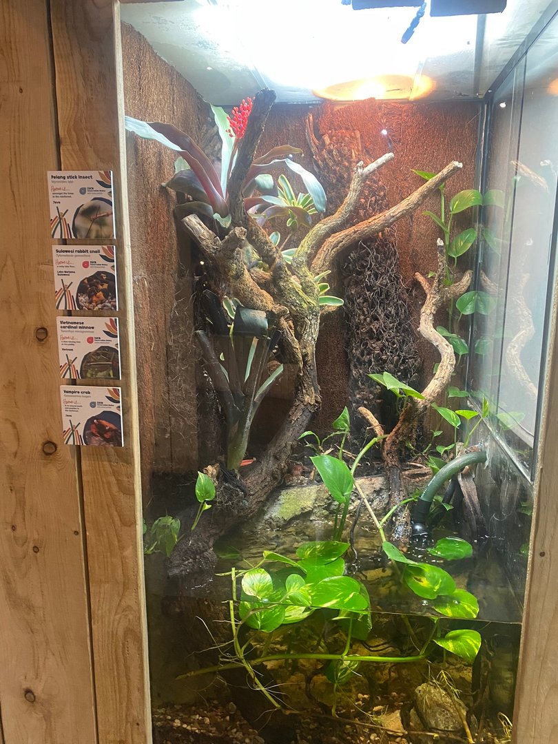 Bugs at Home - Mixed exhibit 161222