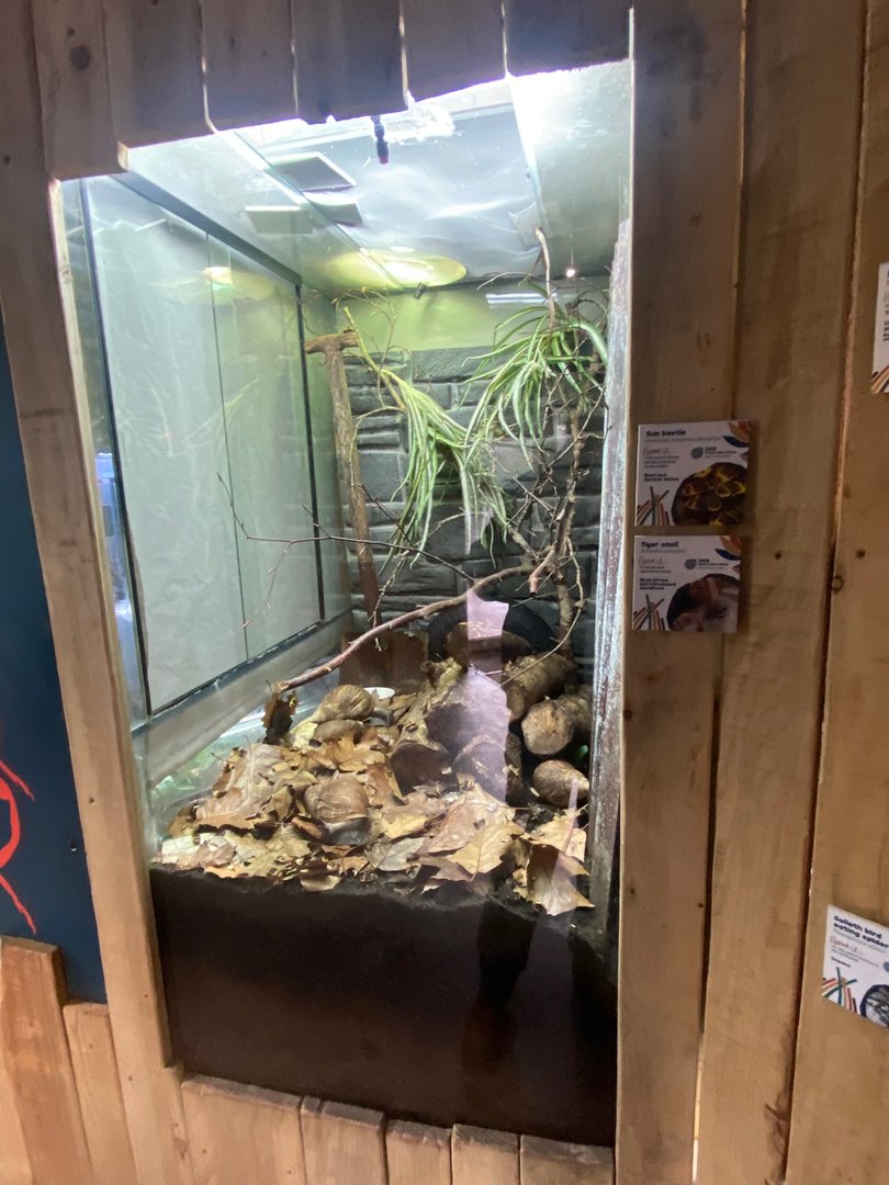 Bugs at Home - Mixed exhibit 161222