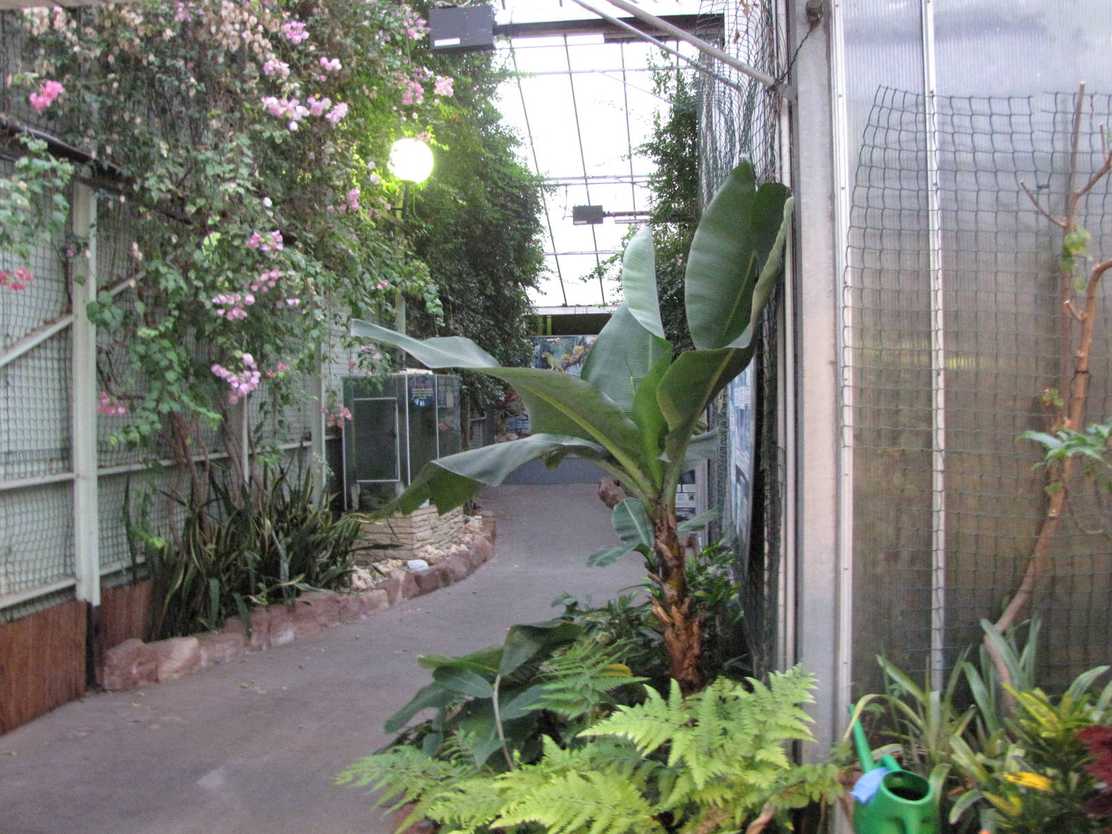 Bugs of Fun open evening