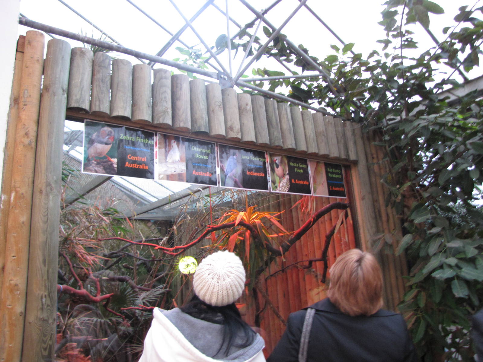 Bugs of Fun open evening