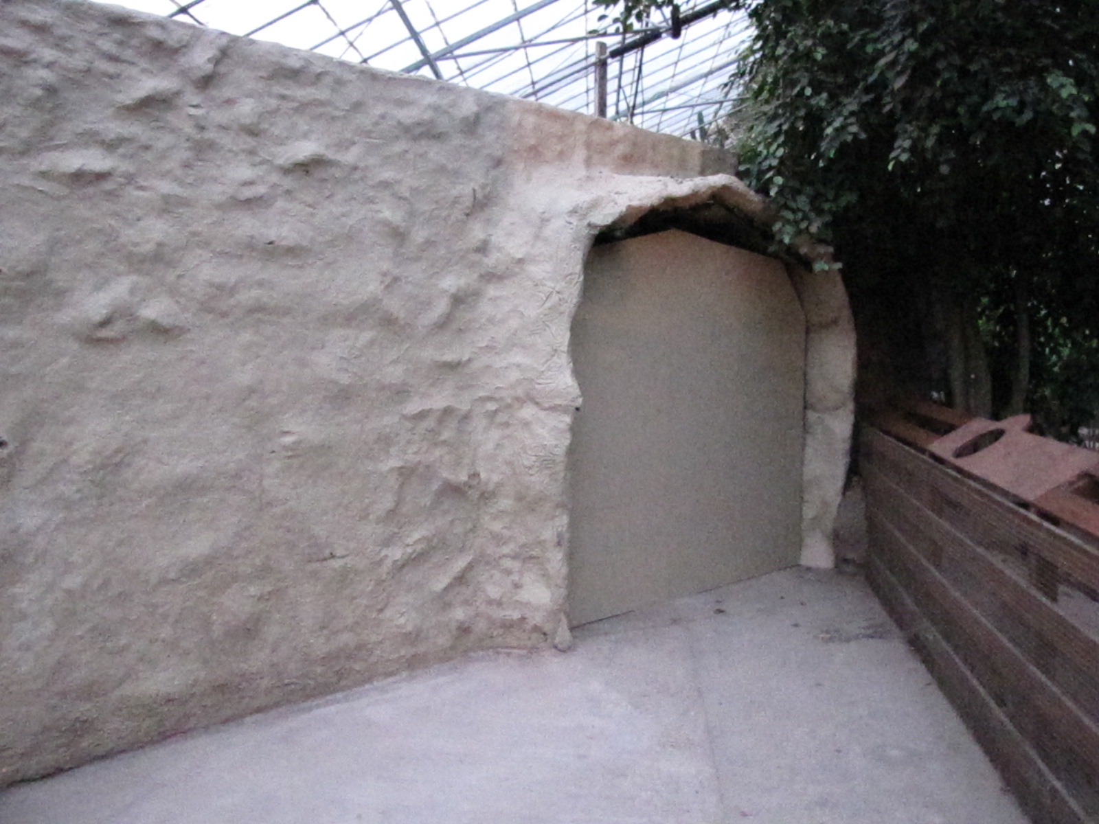 Bugs of Fun open evening