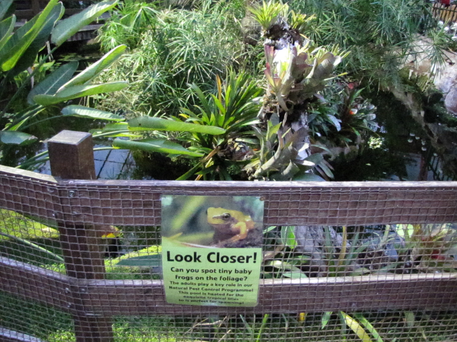 Bugs of Fun open evening