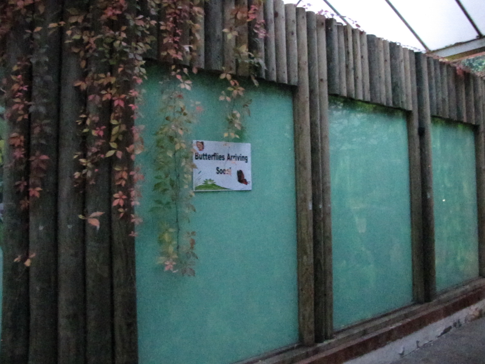 Bugs of Fun open evening