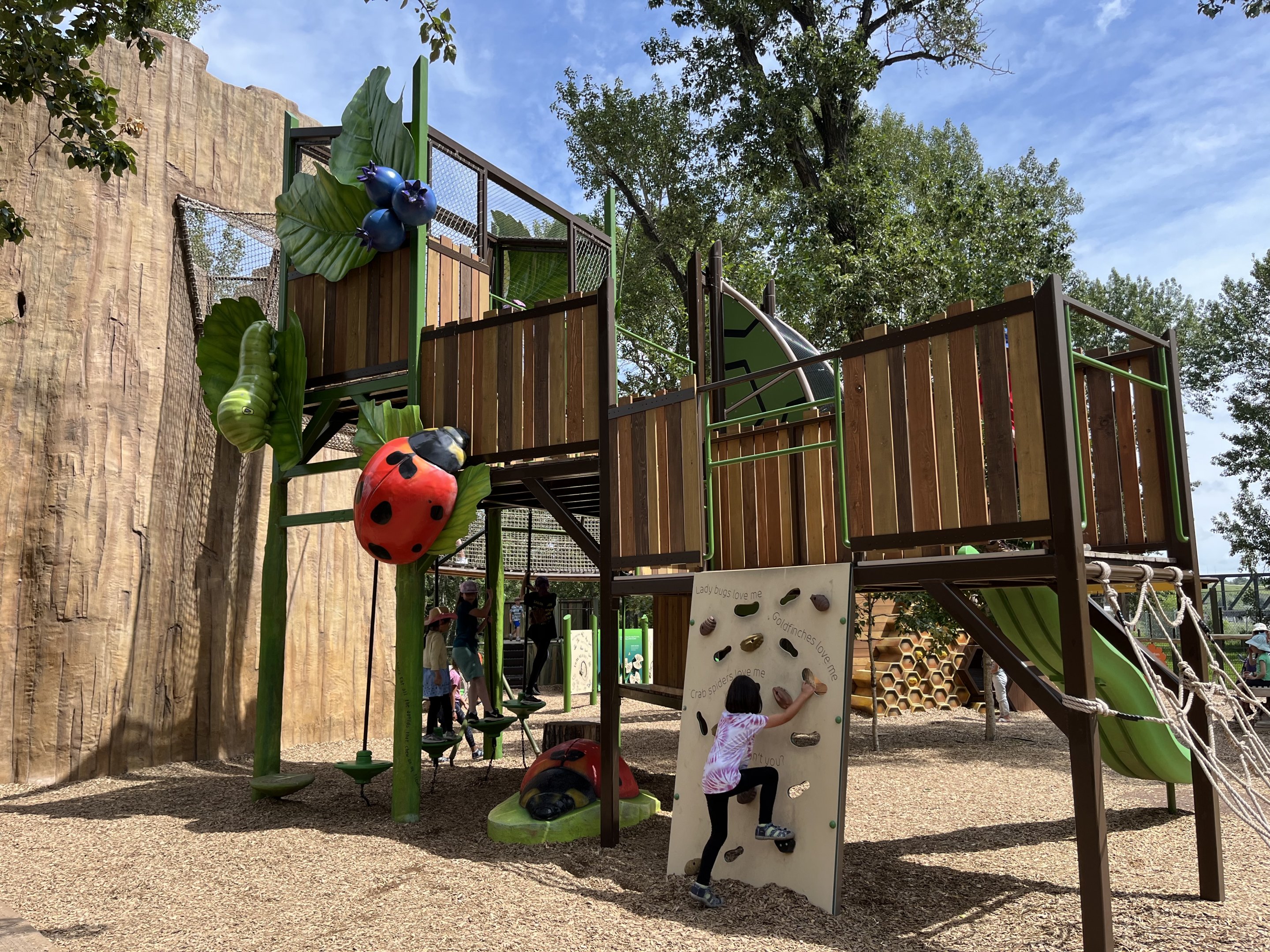 Bugtopia - an amazing playground