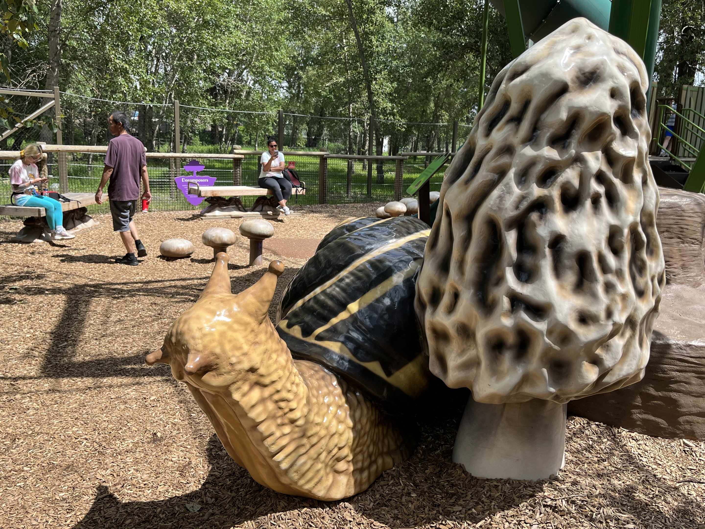 Bugtopia - an amazing playground