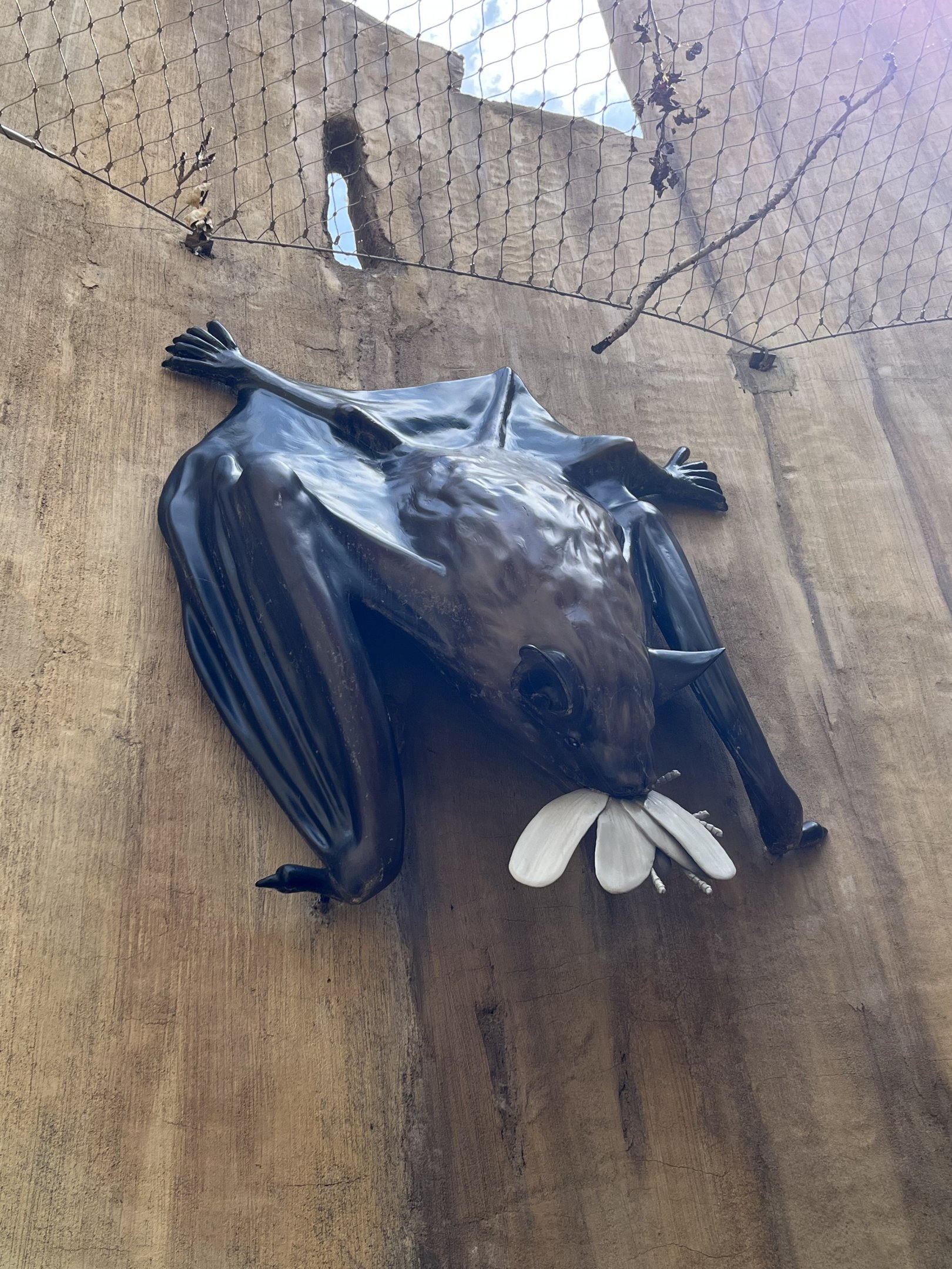 Bugtopia - an amazing playground