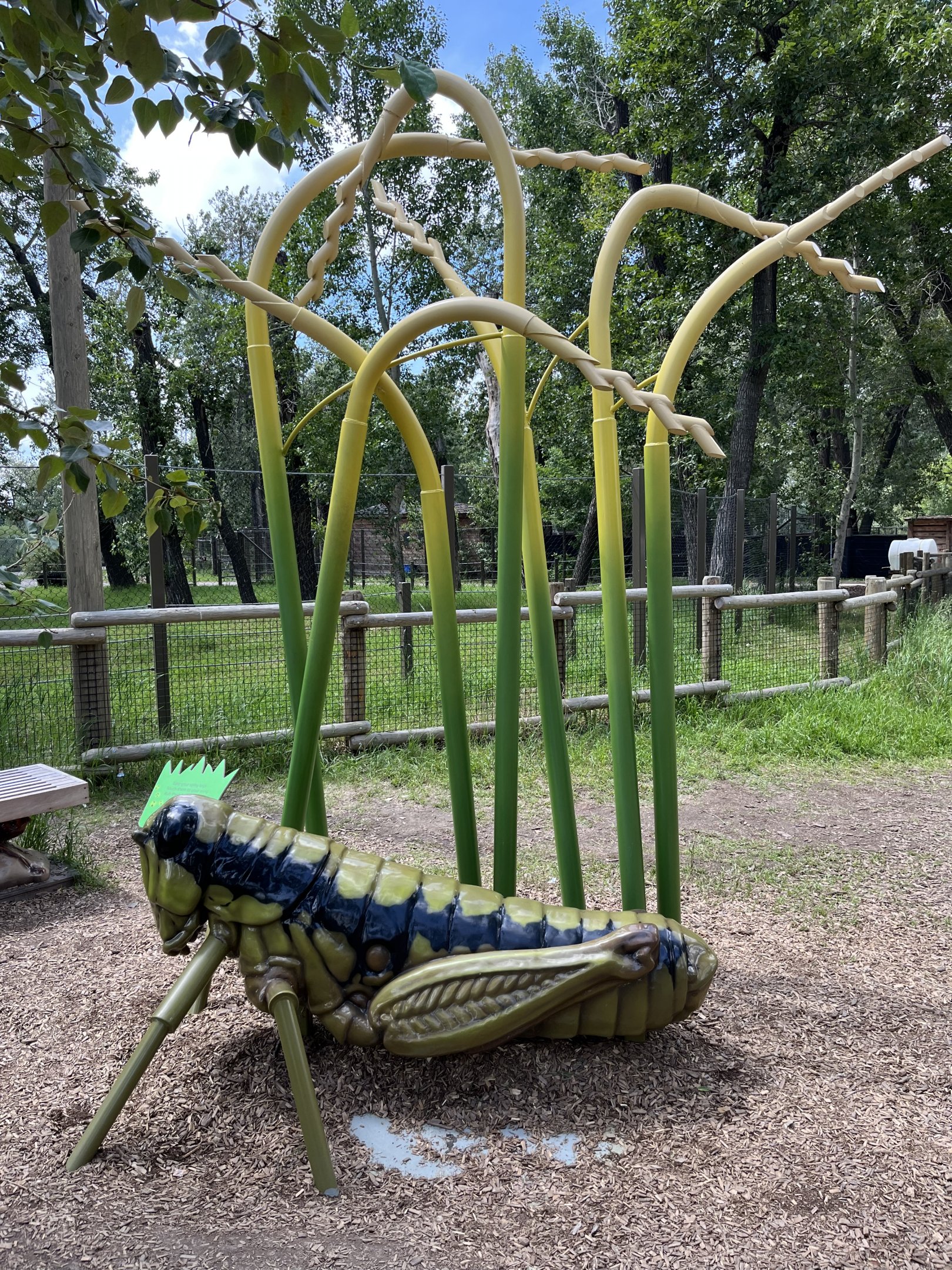 Bugtopia - an amazing playground