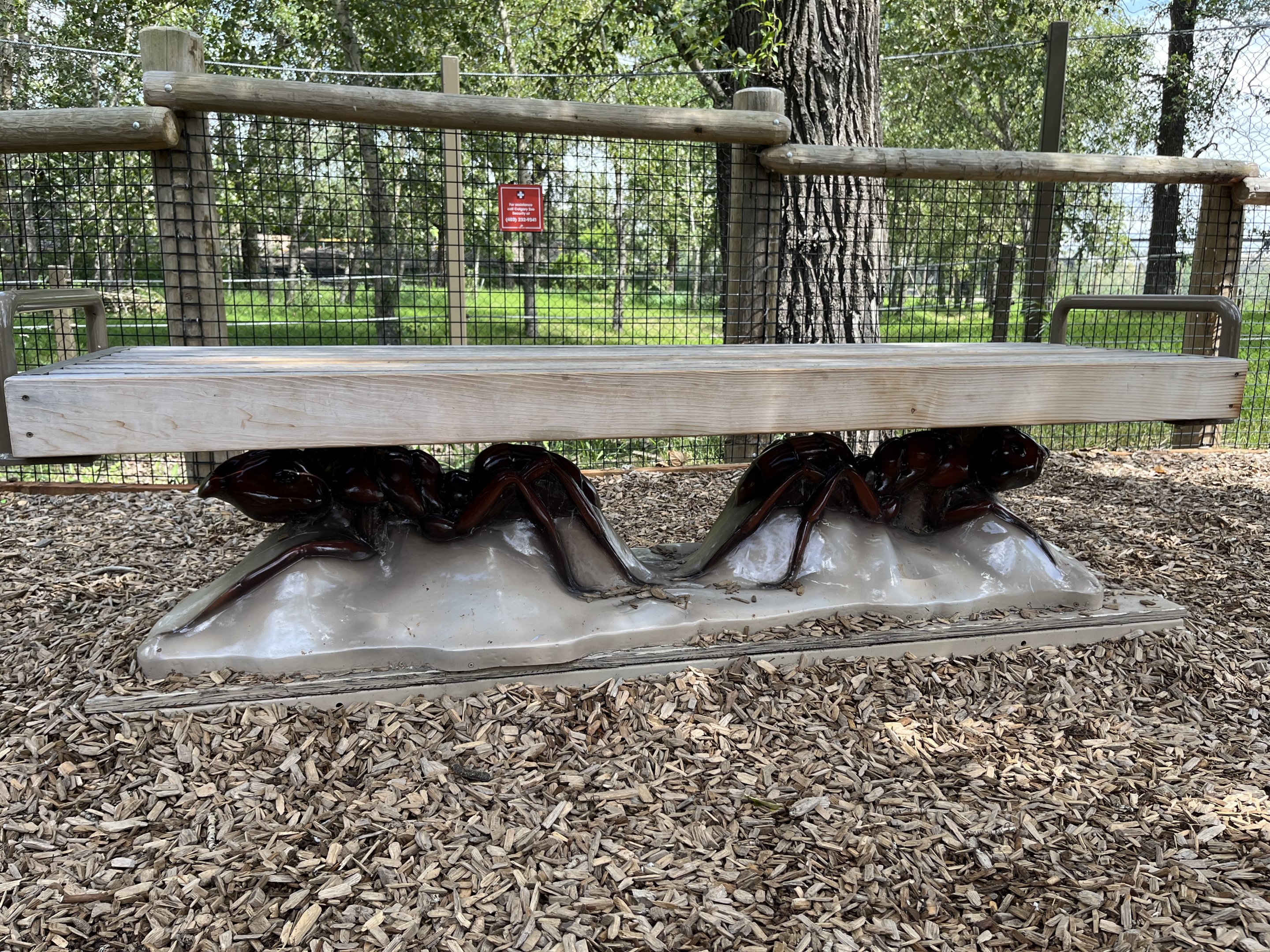 Bugtopia - ant bench!