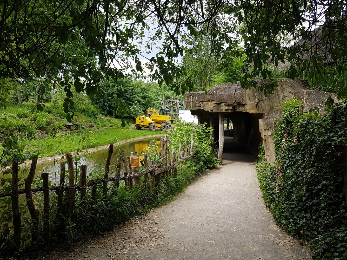 Building-activity Bonobo-island