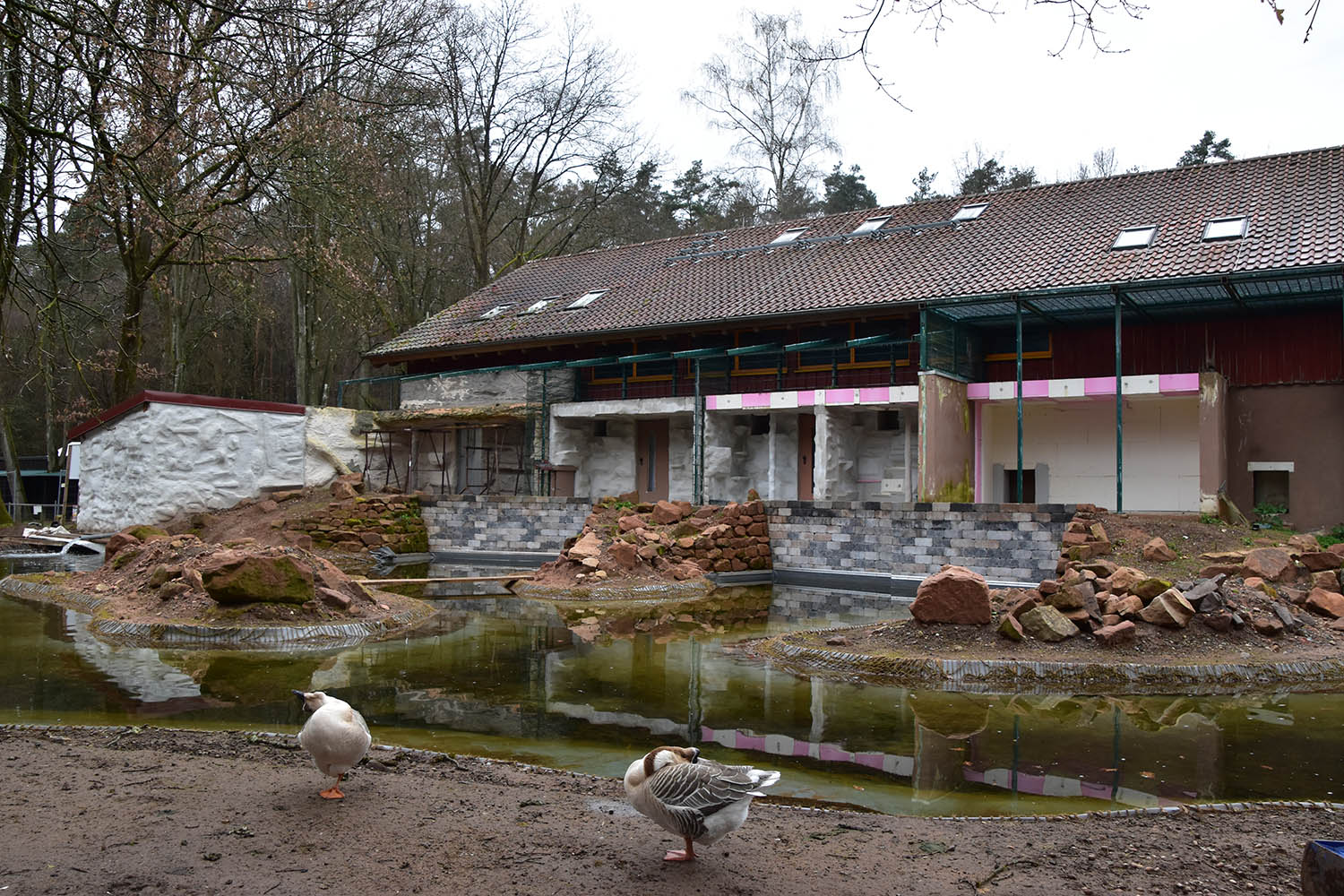 Building islands for smaller monkeys alongside the tropical house