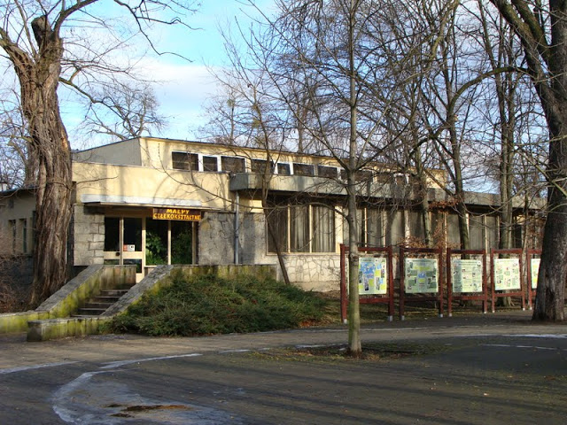 Building of anthropoid apes