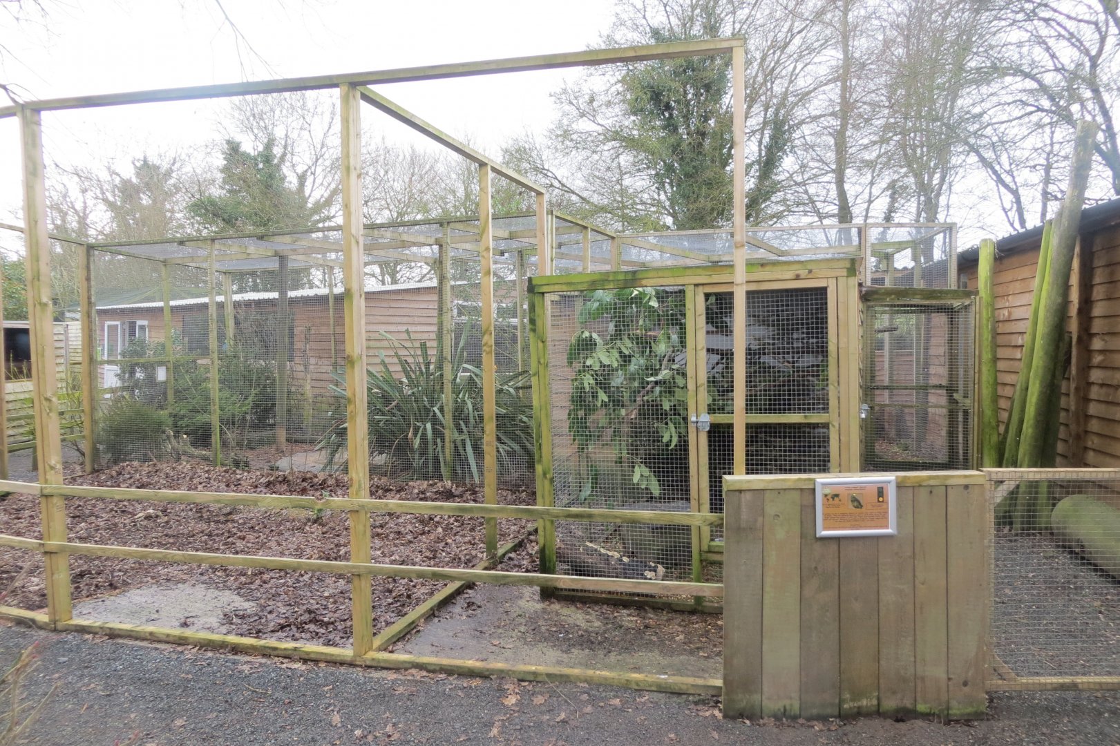 Building of new enclosure 170219