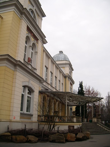 Building of the terrarium