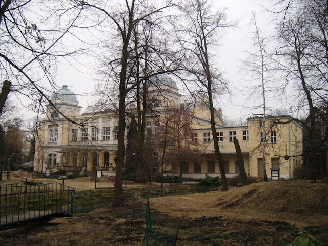 Building of the terrarium