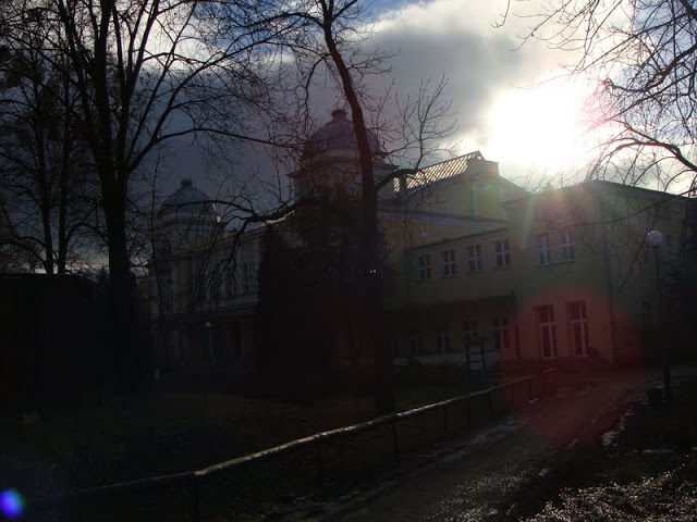 Building of the terrarium