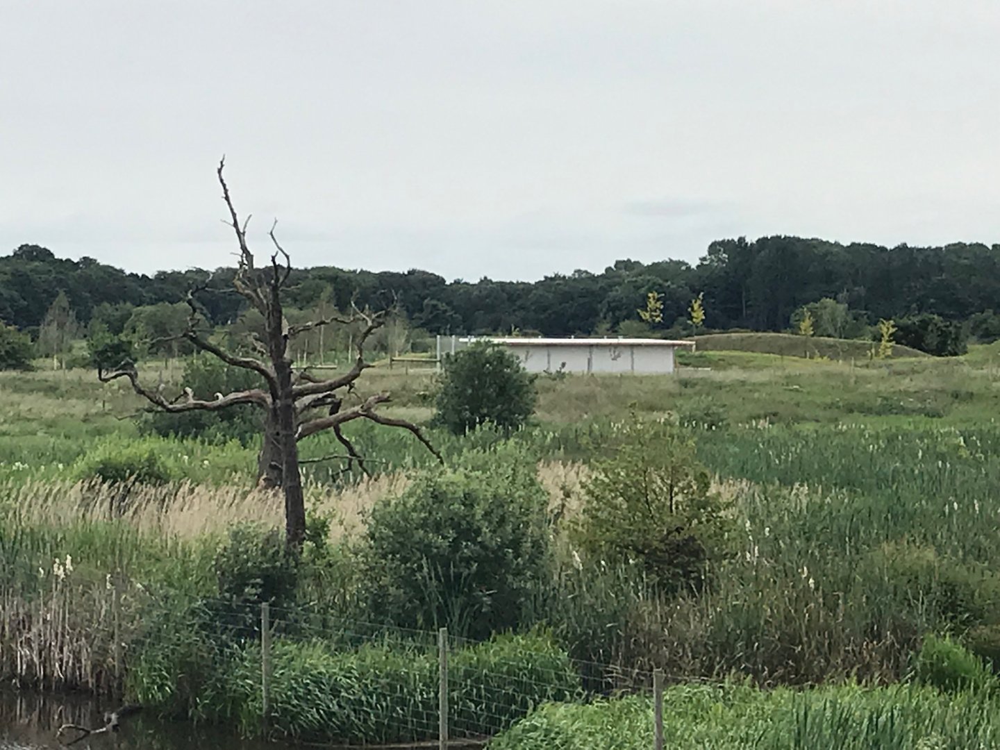Building over the river