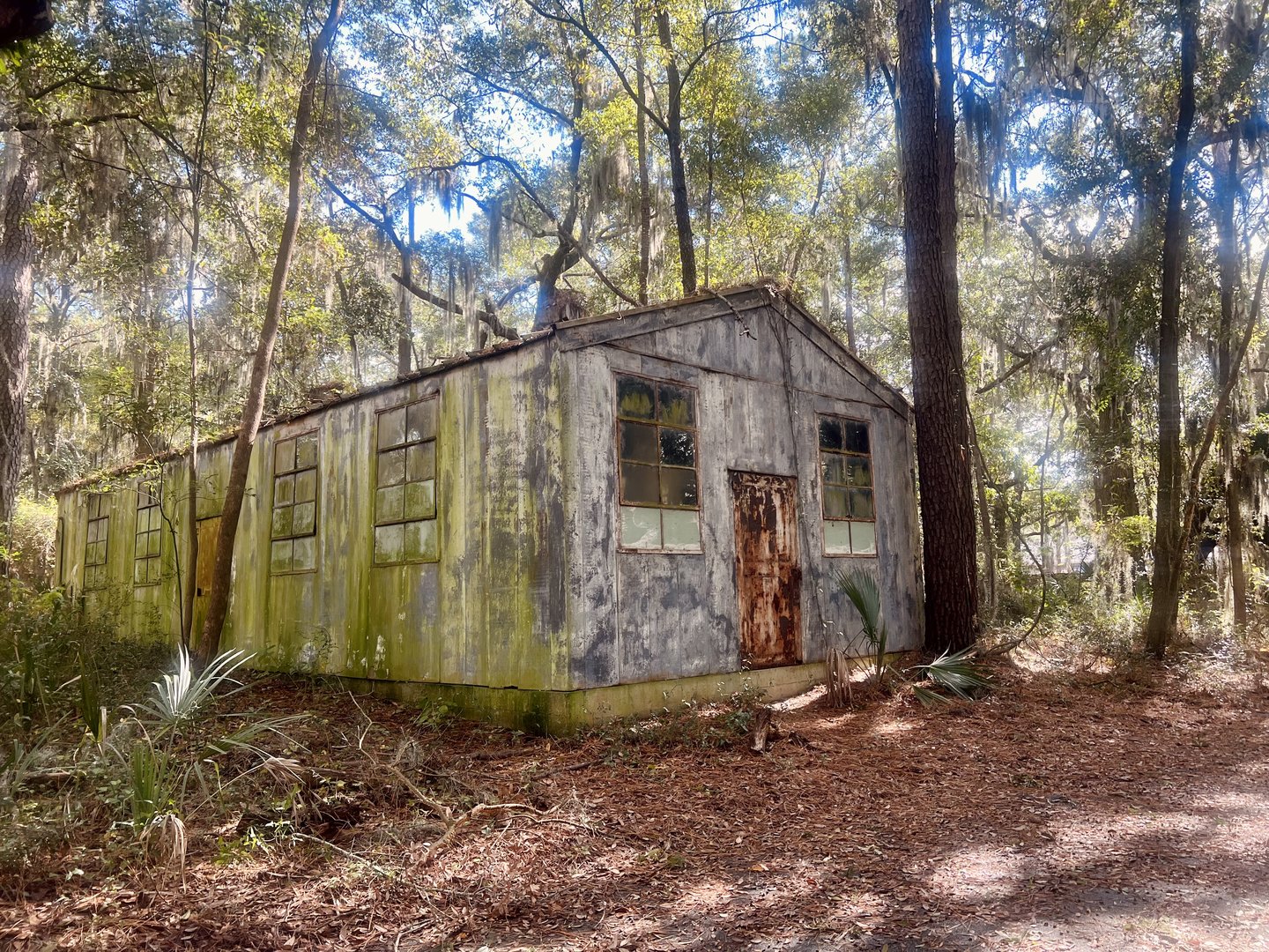 Building reverting to the elements