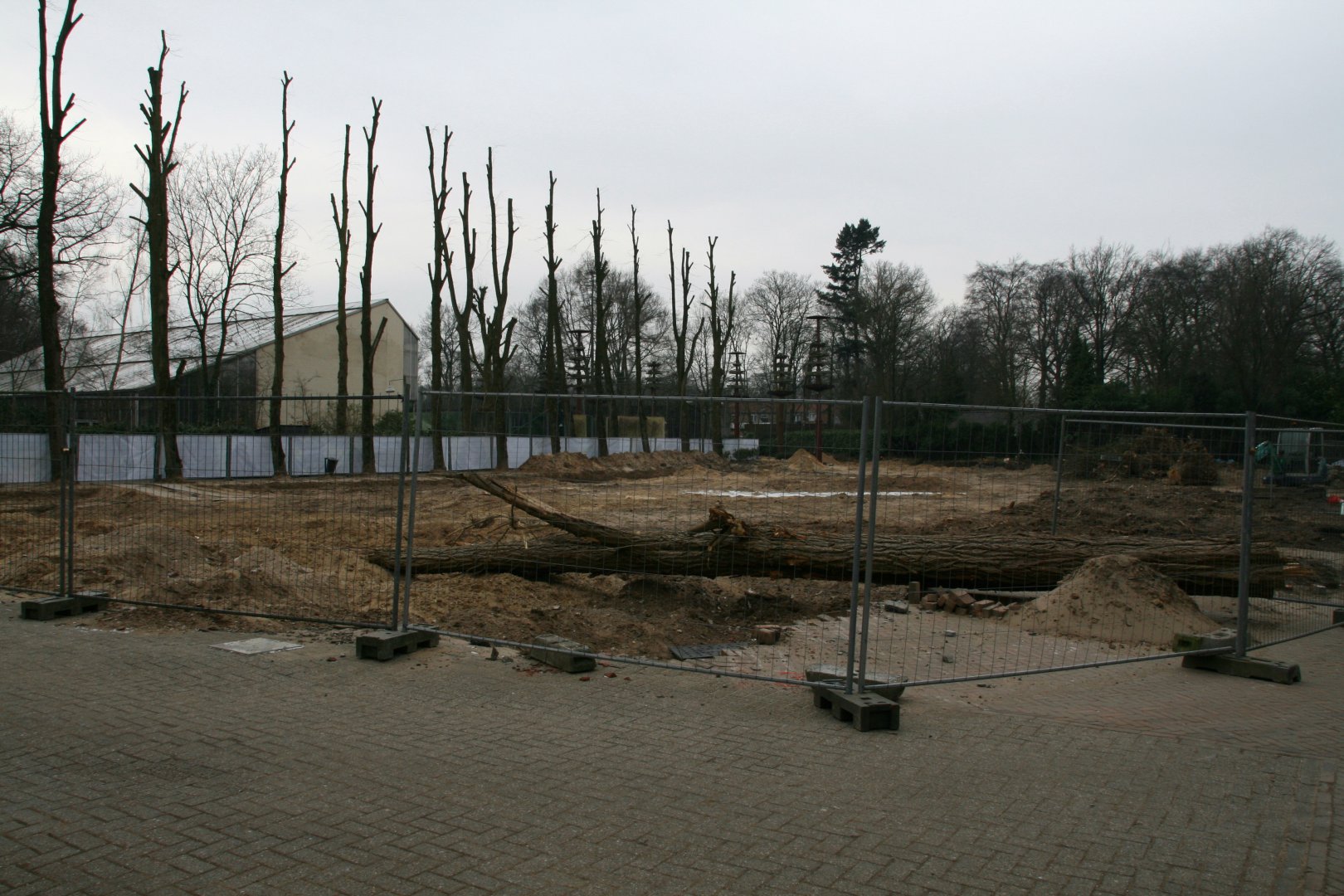 building site for the new Bonobo exhibit