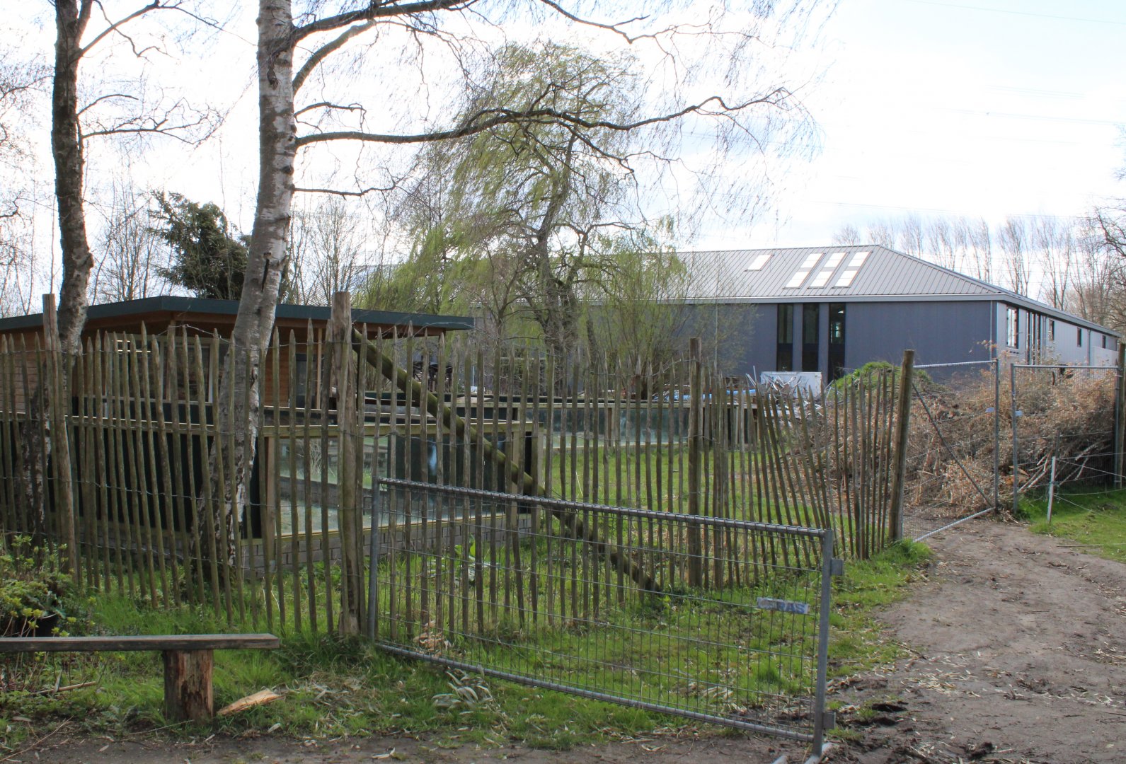 Building-site new entrance / giraffe-enclosure