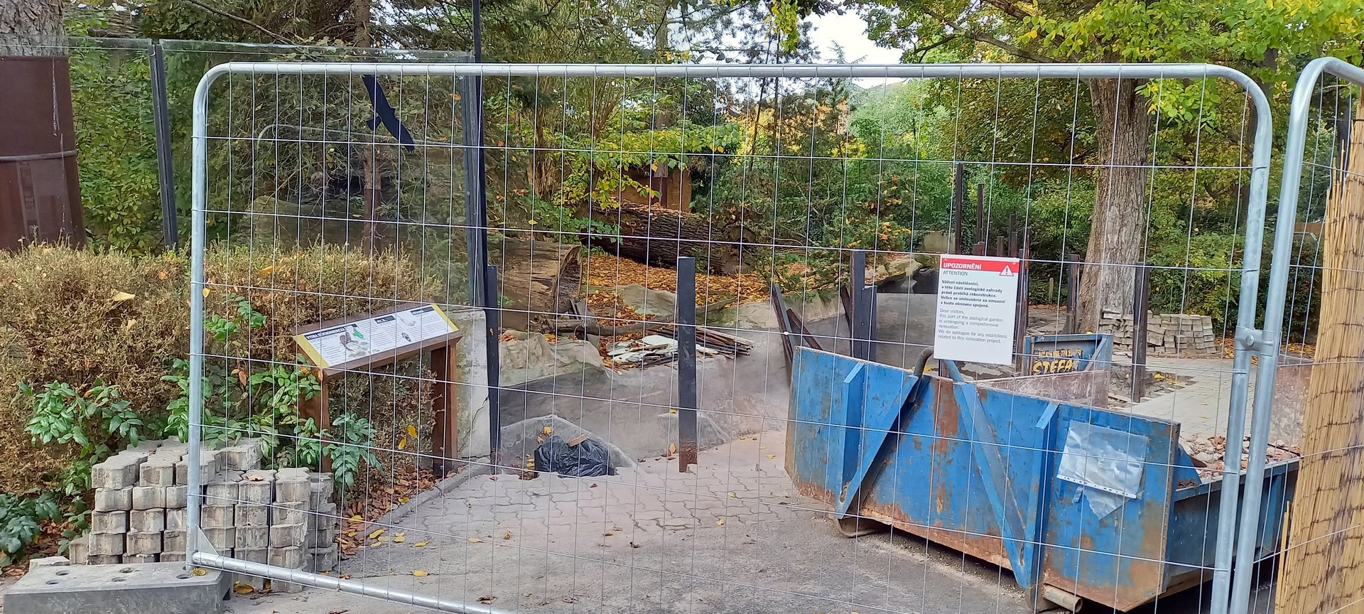 Building-site North American river otter