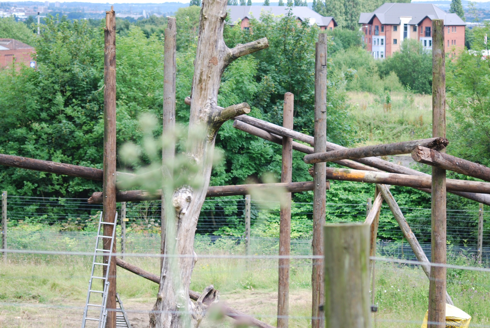 Building the new chimp climbing frame