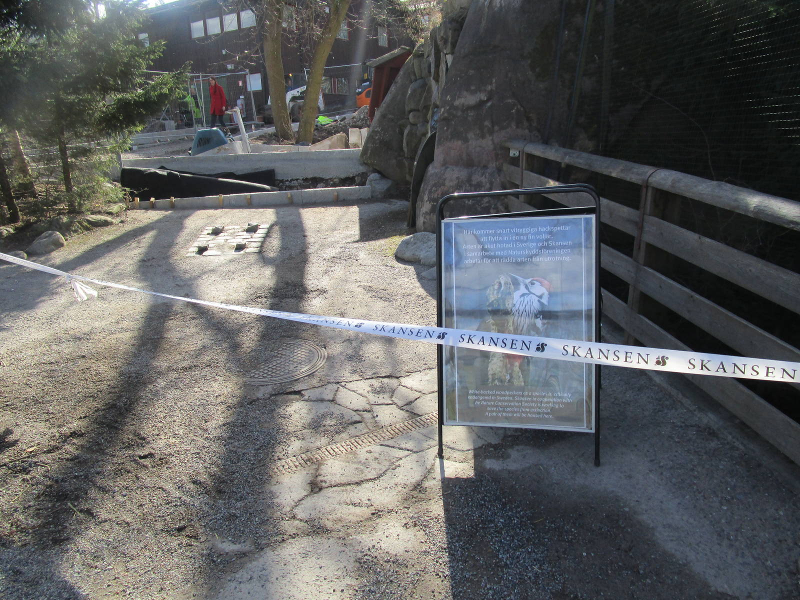 Building Work - 24/03/15