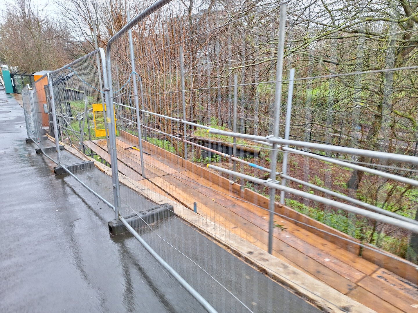 Building work happening to the African Hunting Dog exhibit- 6th January 2025