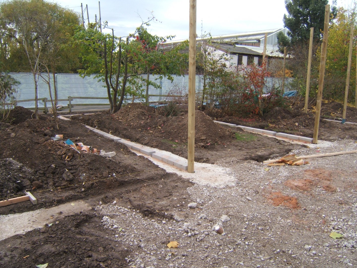 Building work on the new Asian song bird avairys