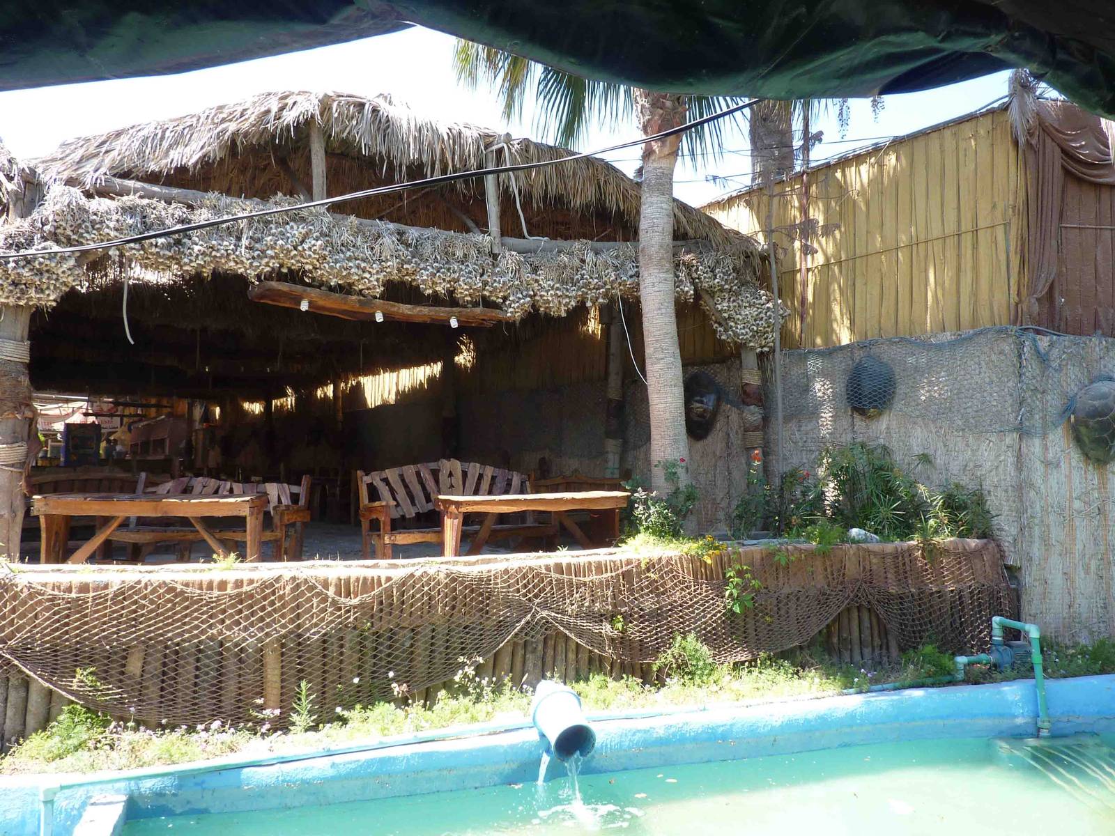 Buildings adorned with turtleshell and garlic, April 2013.