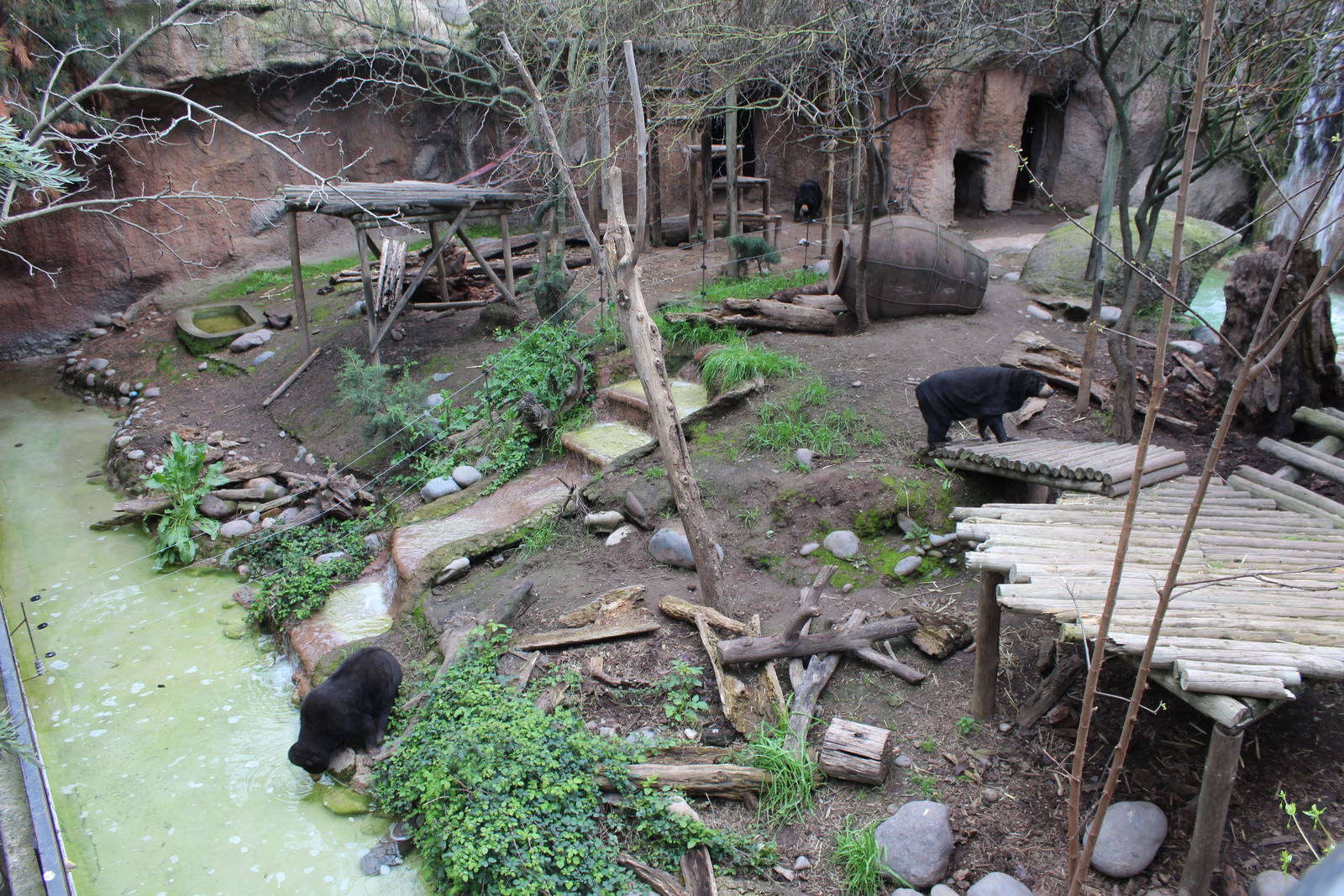 Buin Zoo - Malayan Sun Bear Exhibit