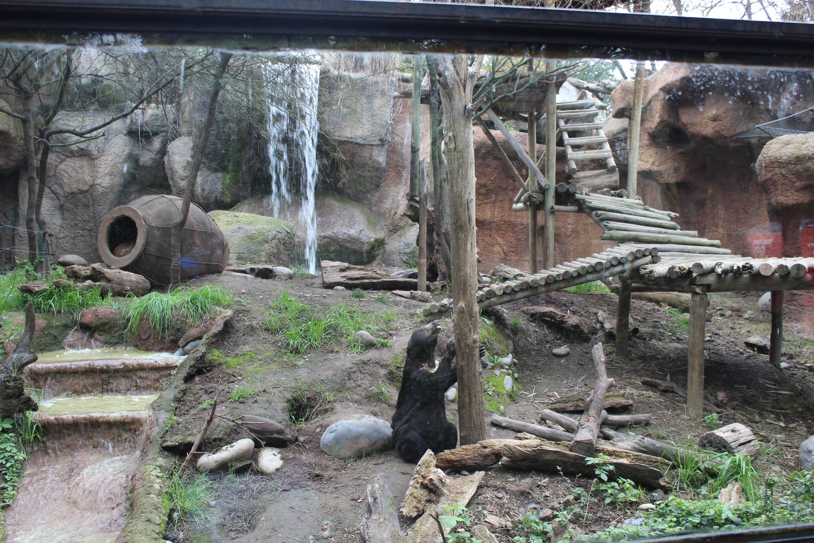 Buin Zoo - Malayan Sun Bear Exhibit