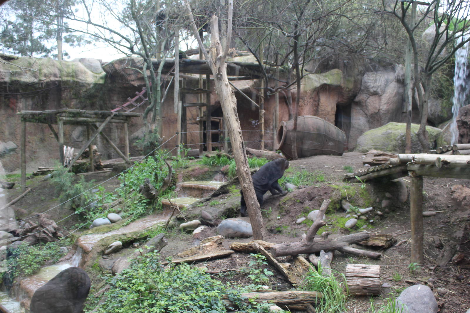 Buin Zoo - Malayan Sun Bear Exhibit