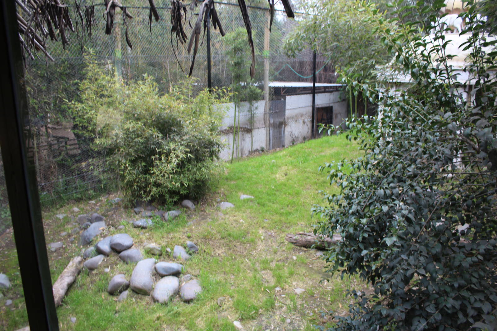 Buin Zoo - Tiger Exhibit