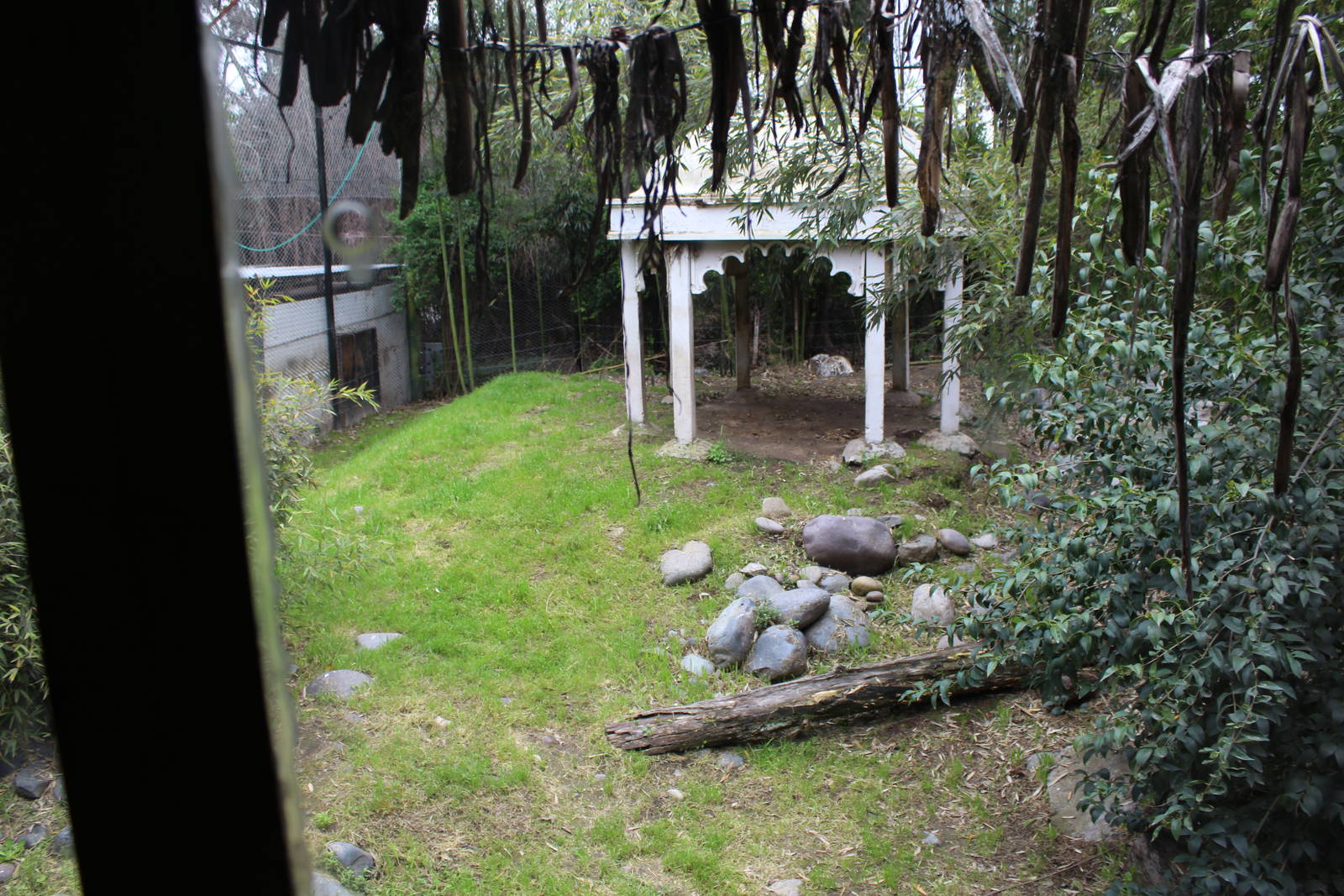 Buin Zoo - Tiger Exhibit