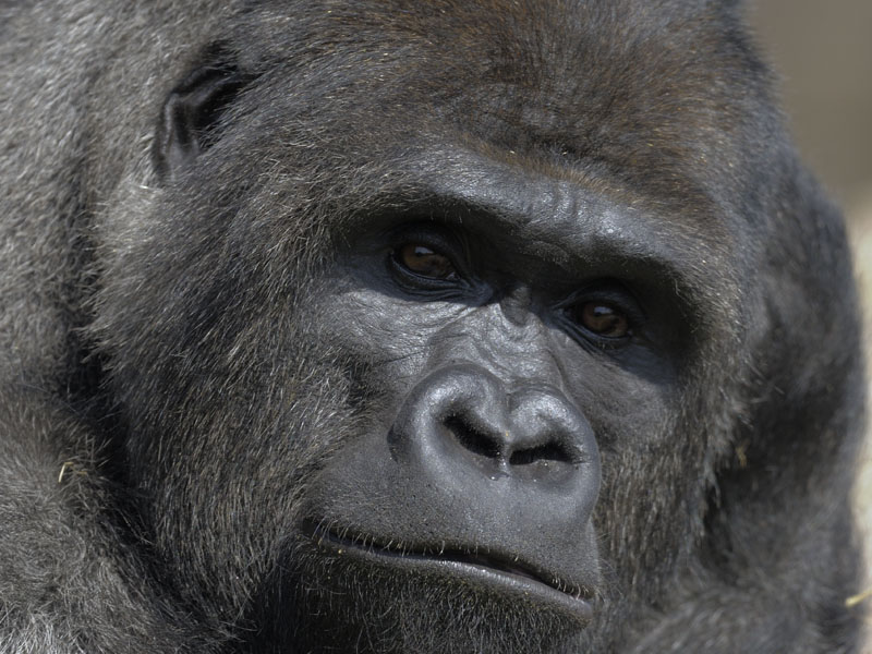 Bukavu a closer close up