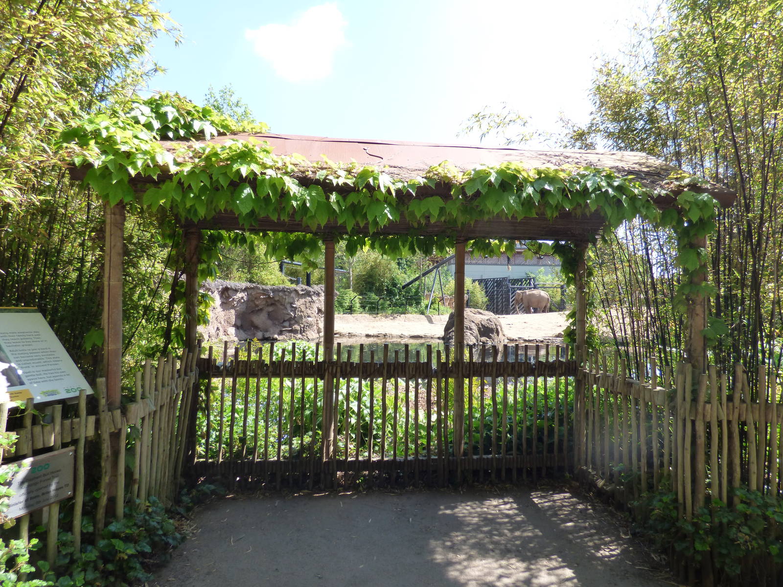 Bull Asian Elephant Enclosure