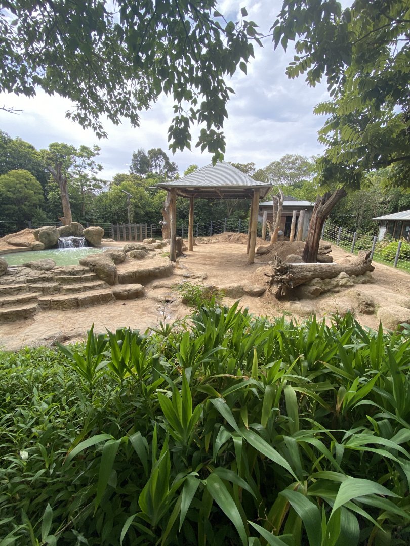 Bull Asian Elephant enclosure