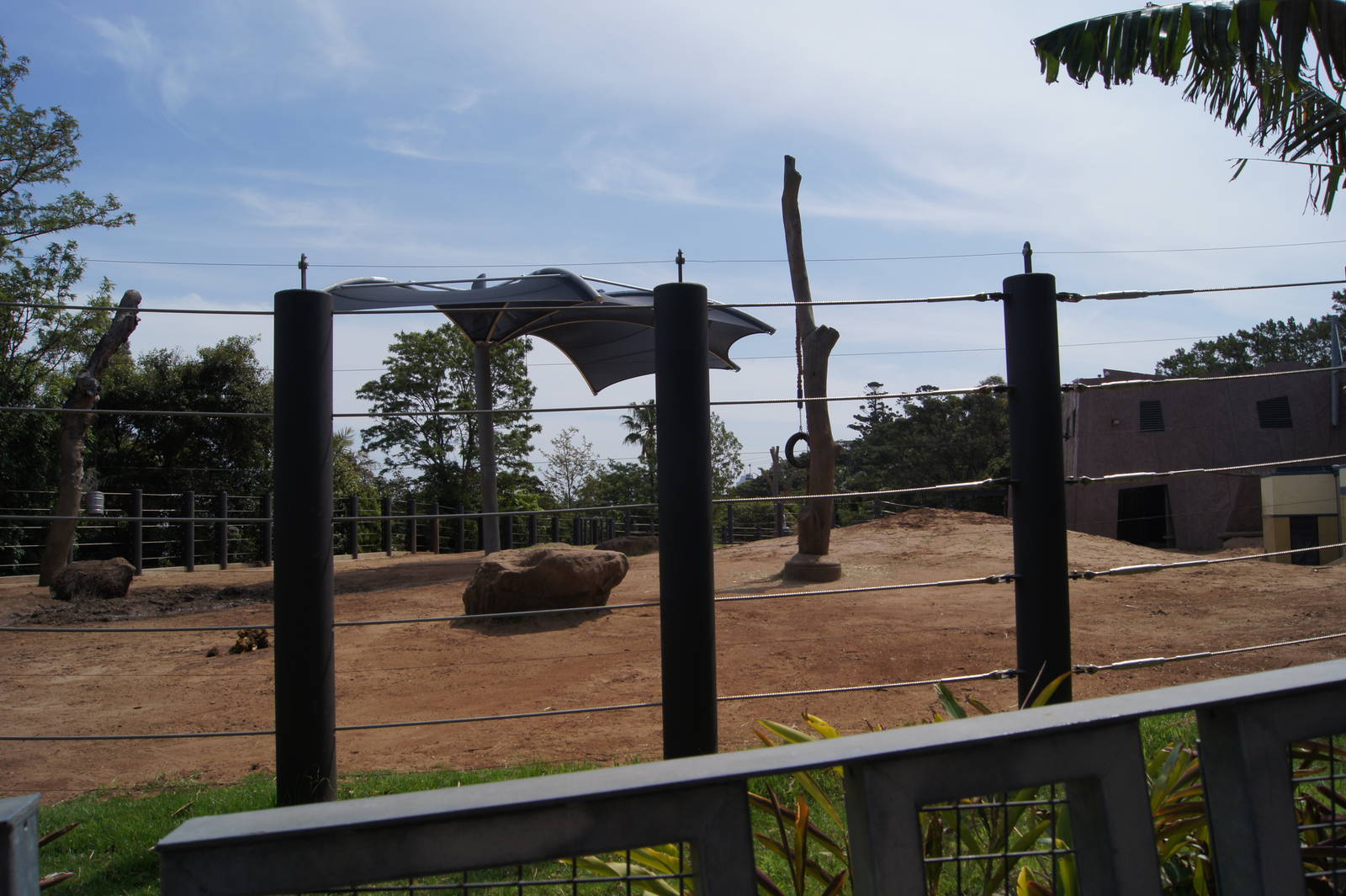 Bull Asian Elephant Exhibit