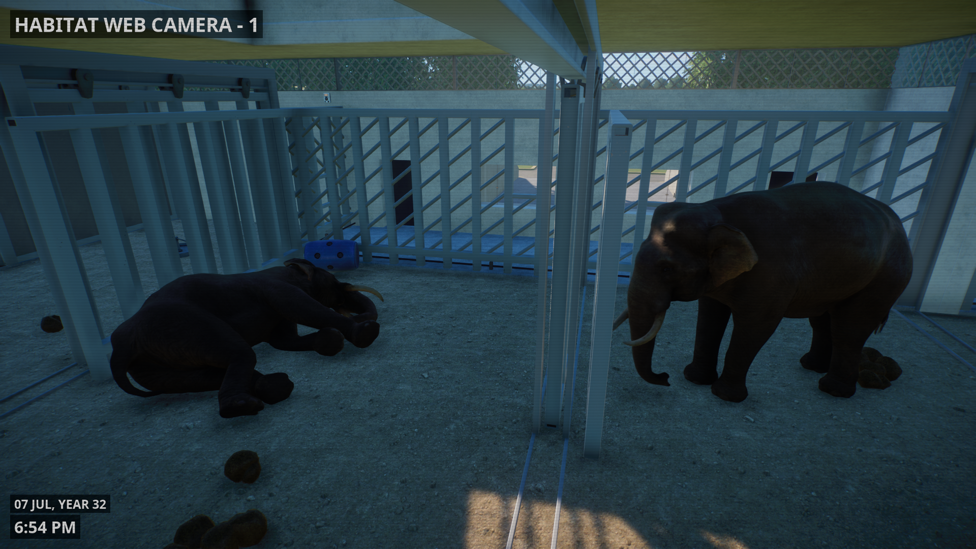 Bull Elephant Barn Indoors - In Progress