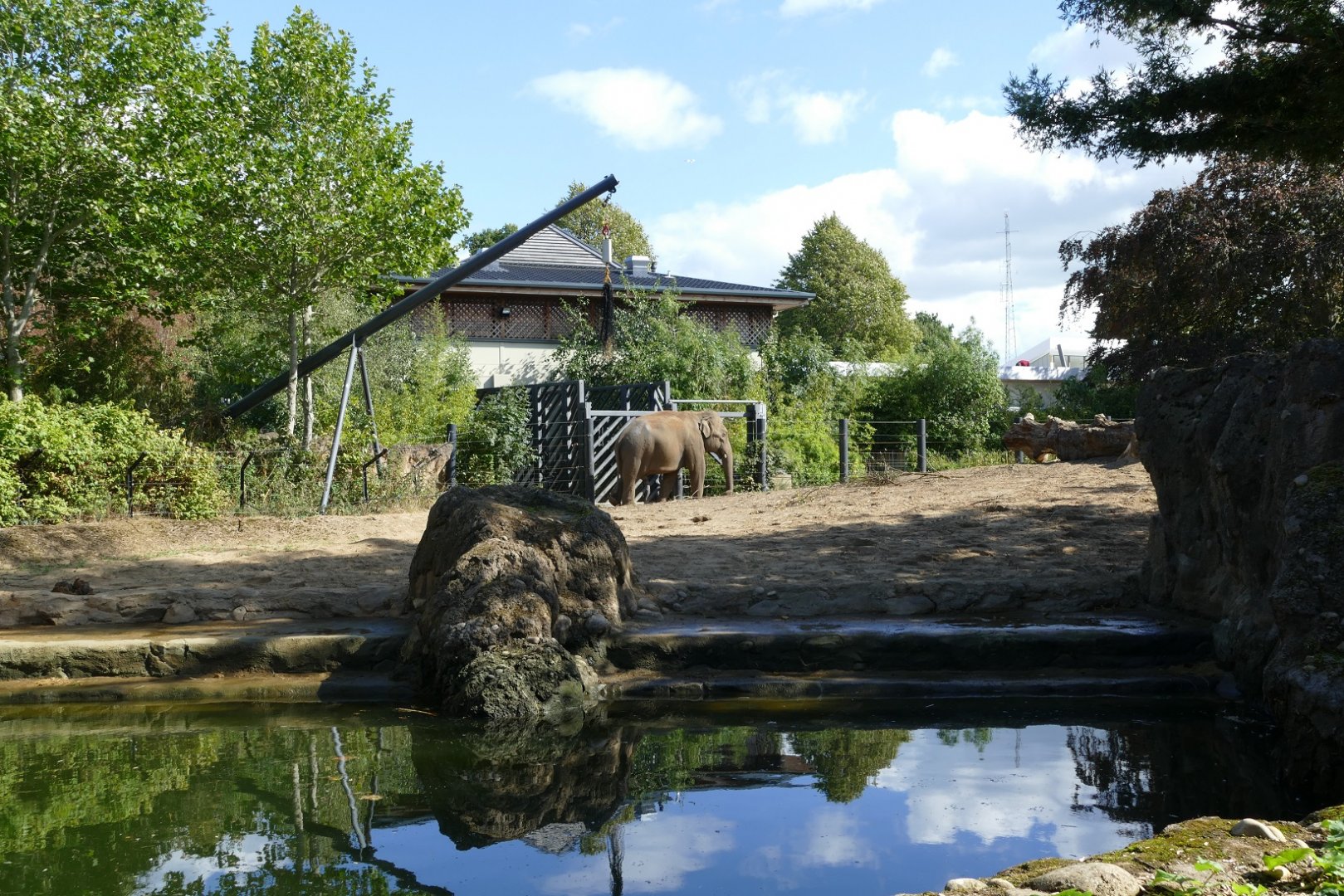 Bull elephant enclosure, September 2018