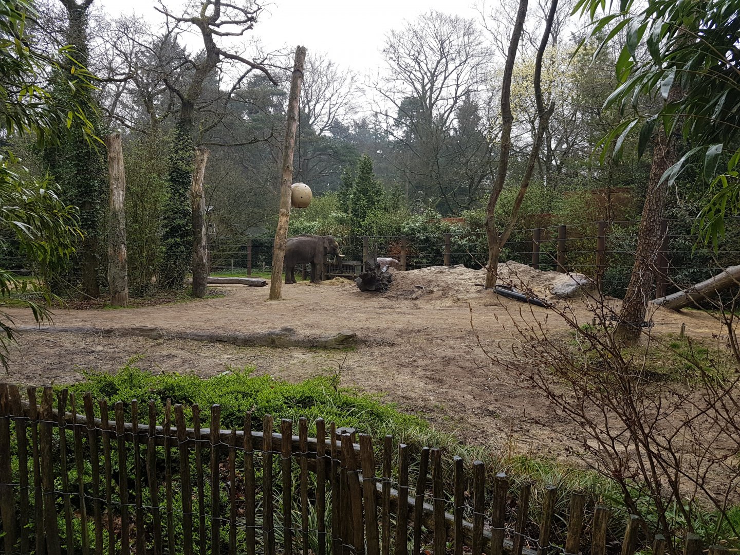 Bull-elephant enclosure