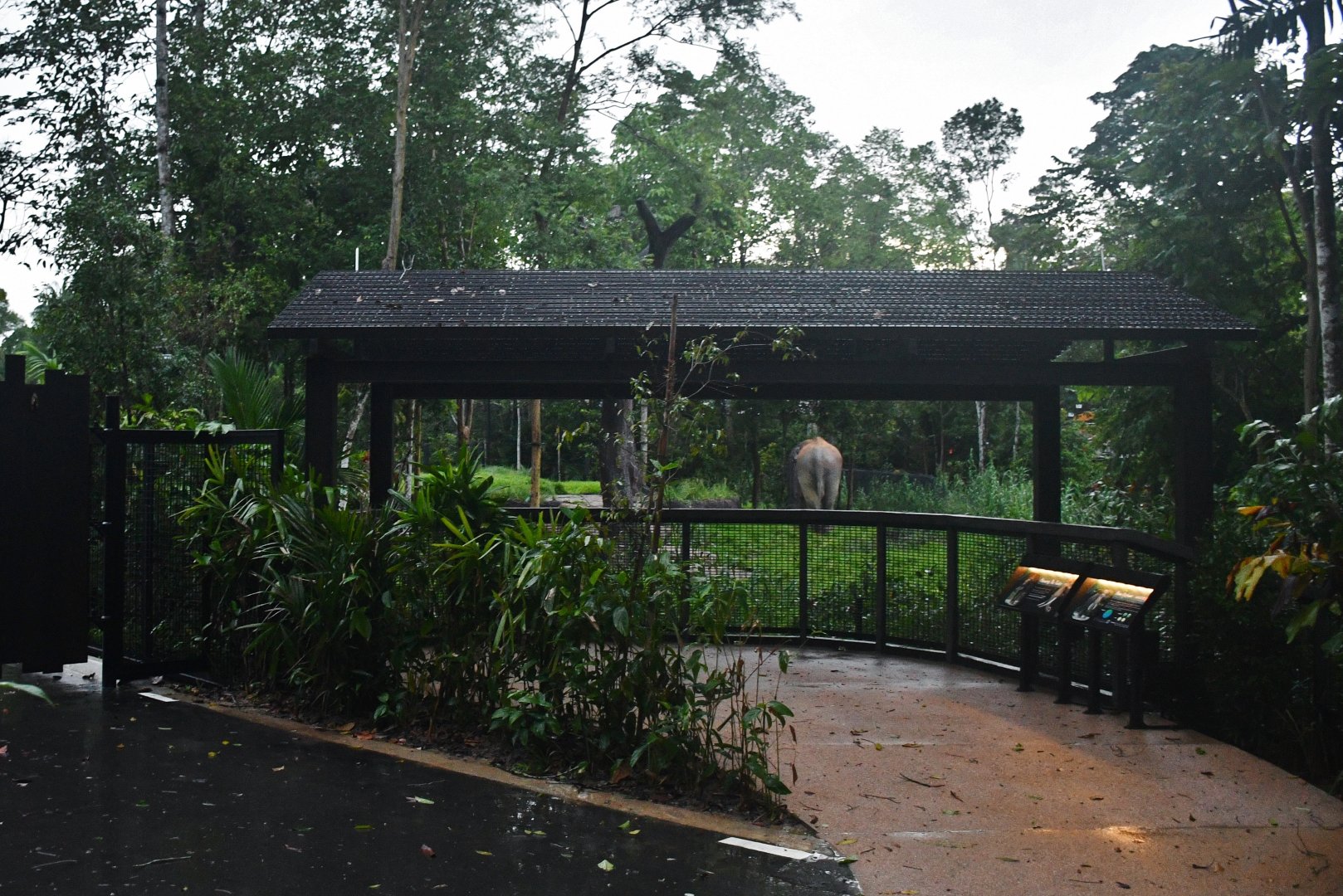 Bull Elephant Lookout