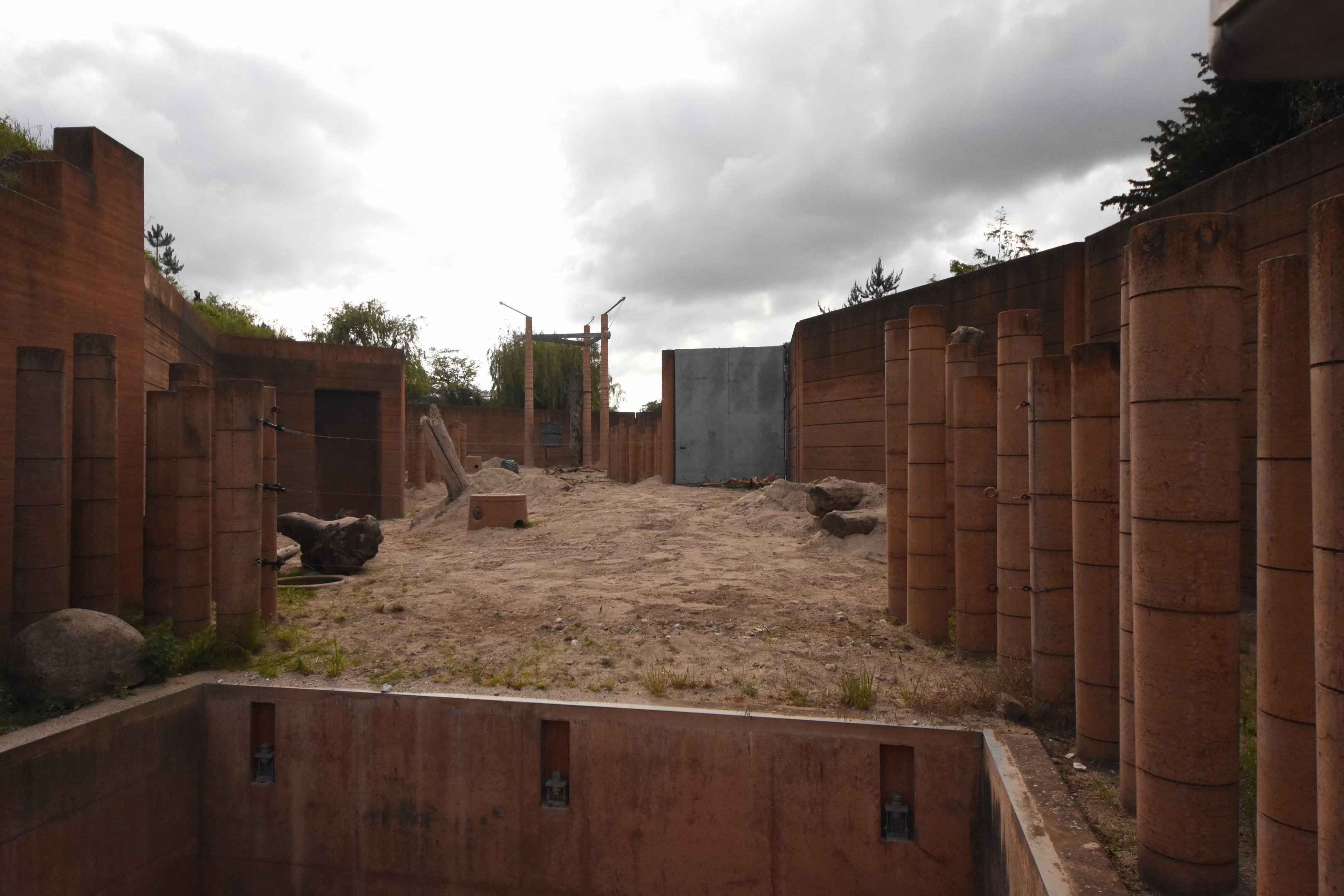 Bull elephant outdoor enclosure