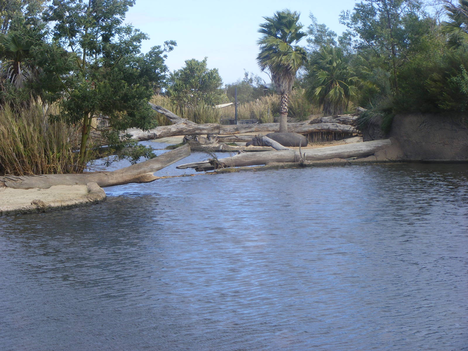 Bull Hippo Dam - July, 2009