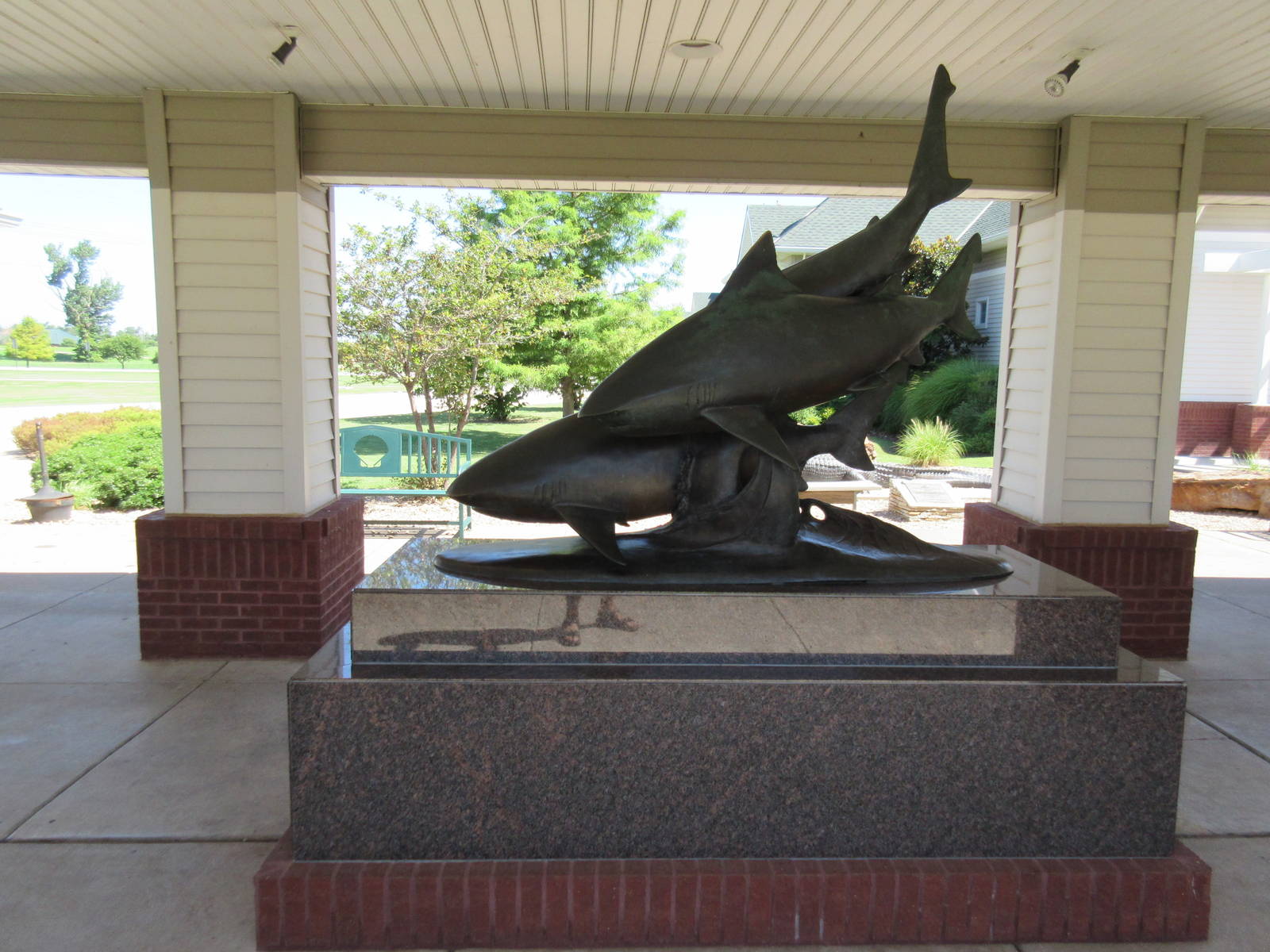 Bull Shark Statue