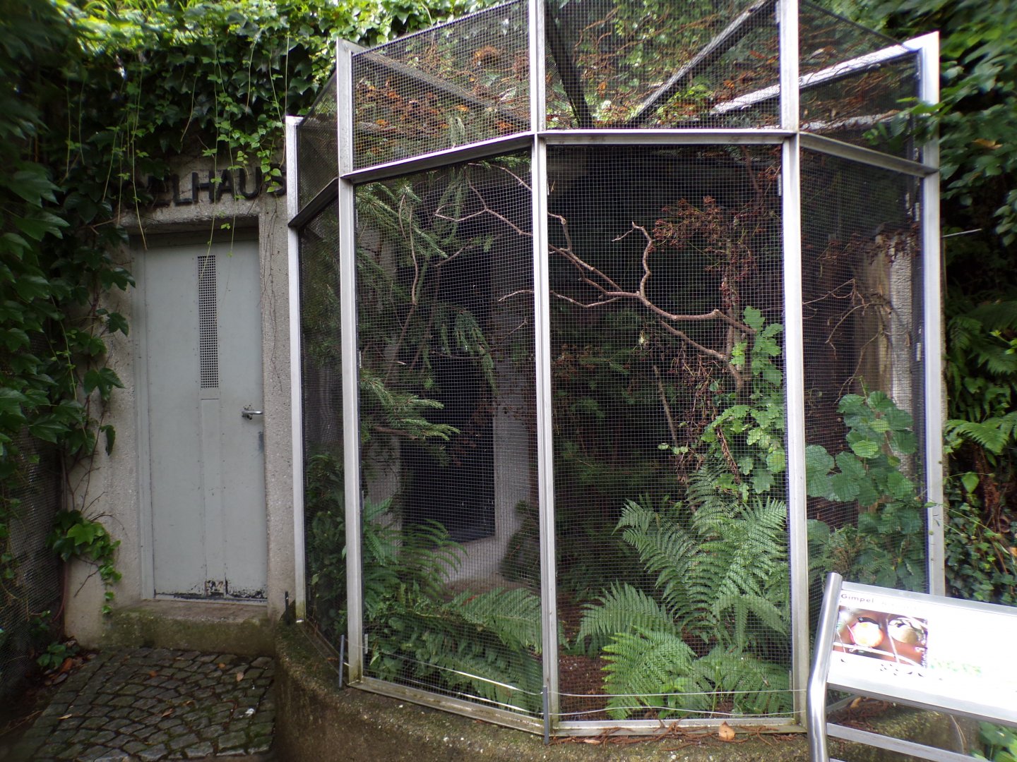 Bullfinch aviary 9.7.25