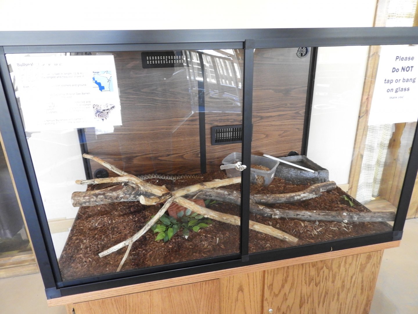 Bullsnake exhibit - Nature Center - Bay Beach Wildlife Sanctuary