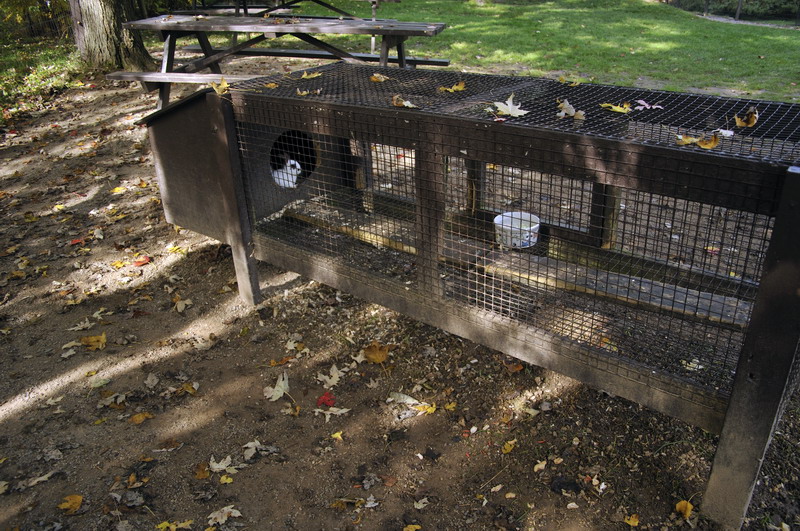 Bunnycage at Twin Vally Zoo