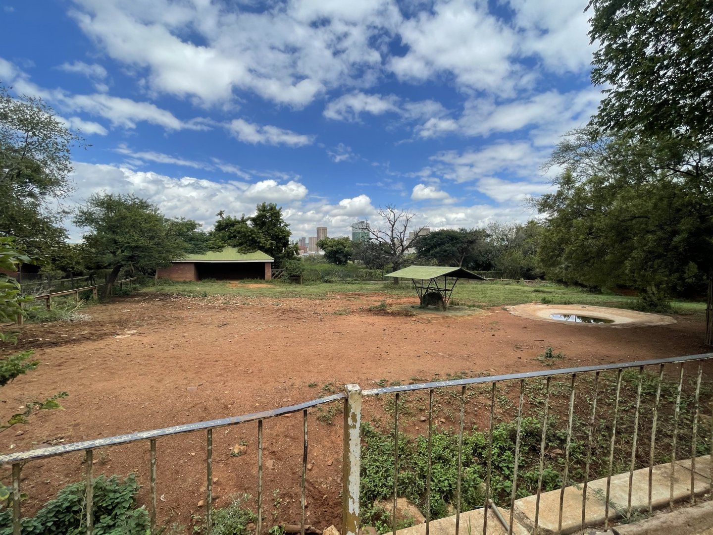 Burchell's Zebra Enclosure (Equus burchelli)