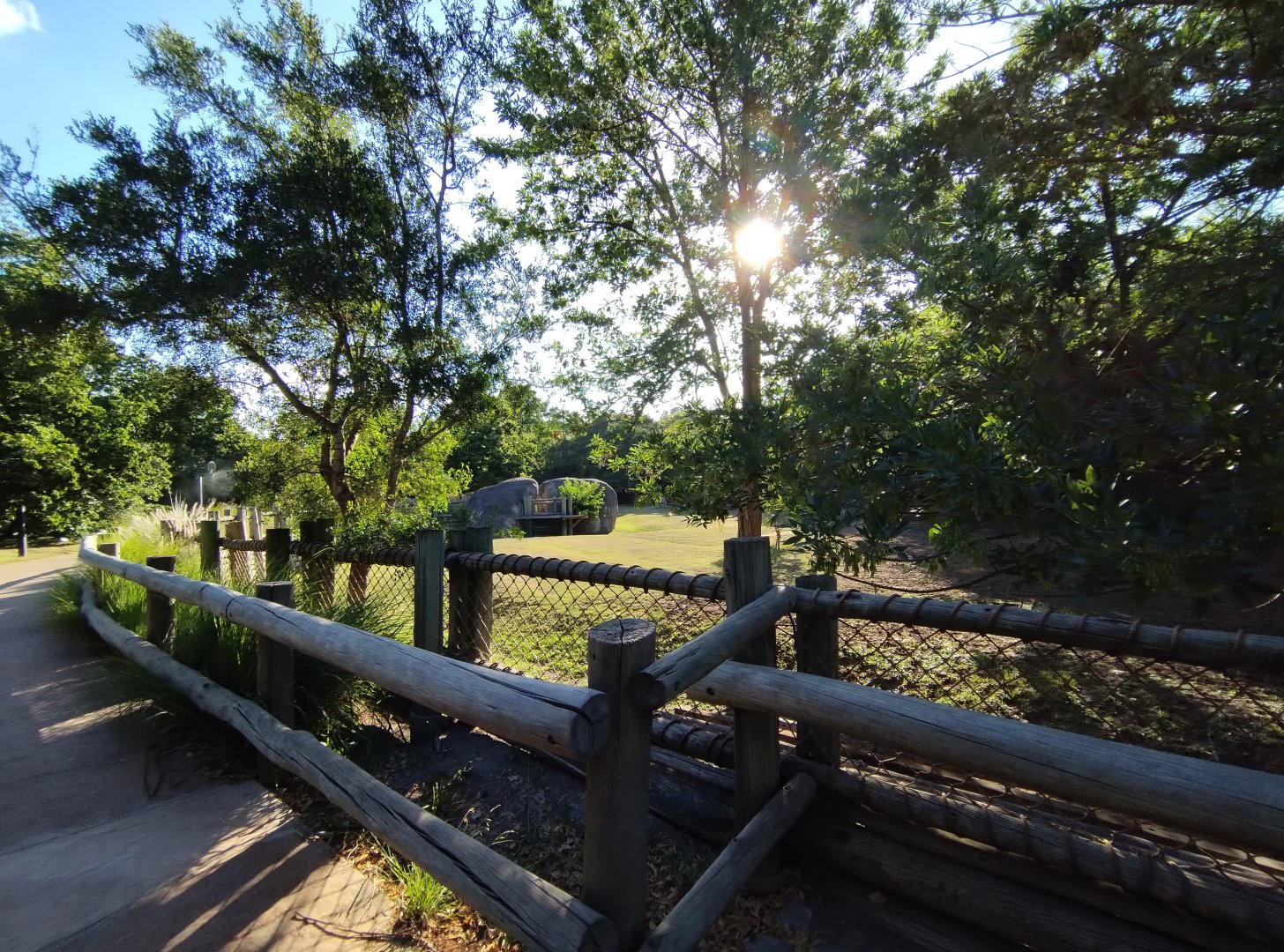 Burchell's zebra exhibit - Temaiken